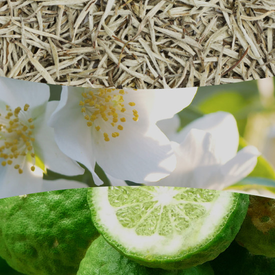 WHITE TEA & JASMINE